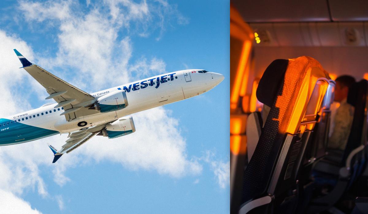 Nuova Tariffa per Passeggeri: il Vettore Low-Cost che Sta Cambiando le Regole del Volo