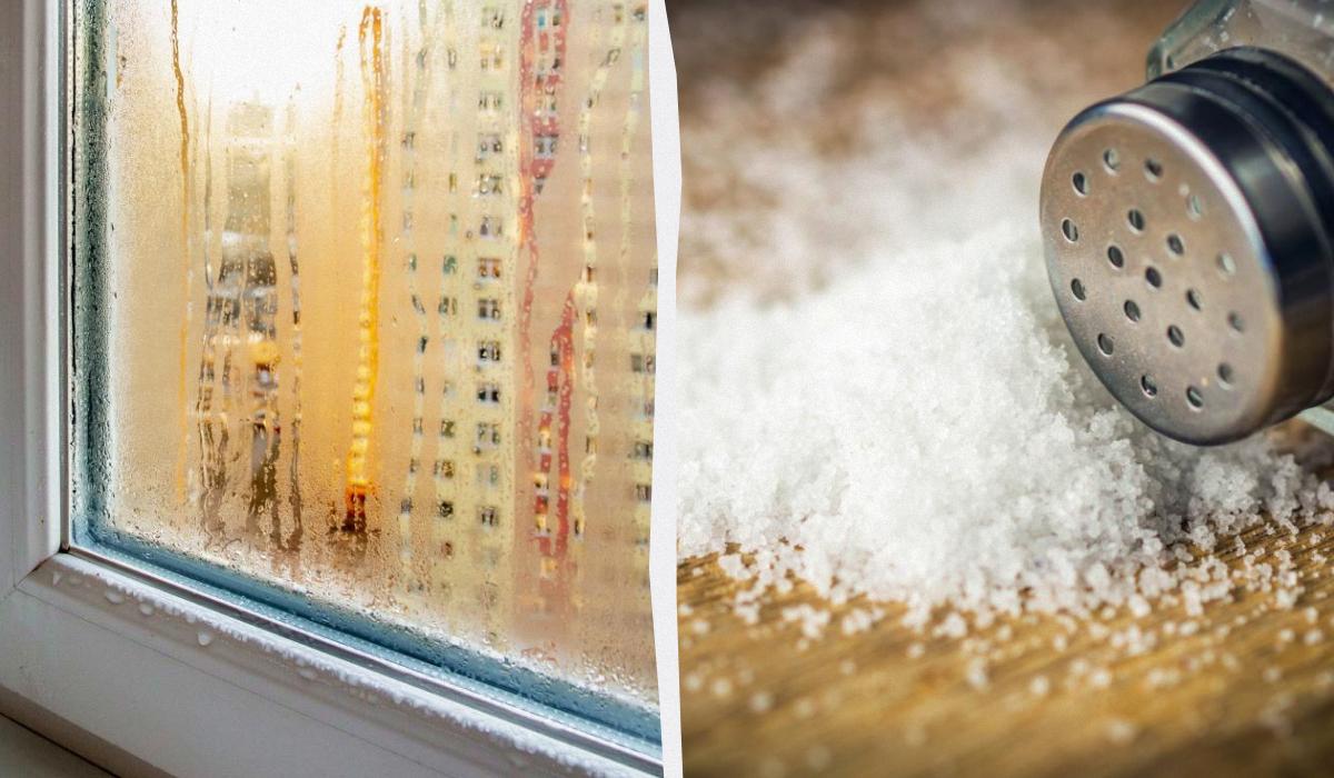 Ridurre la Condensazione e la Muffa con il Sale: Efficacia e Limiti di un Metodo Naturale