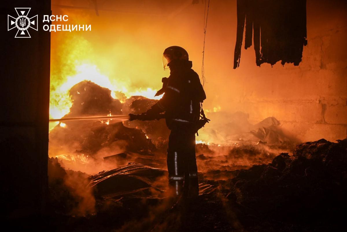 В пригороде Одессы из-за попадания дронов РФ вспыхнул масштабный пожар