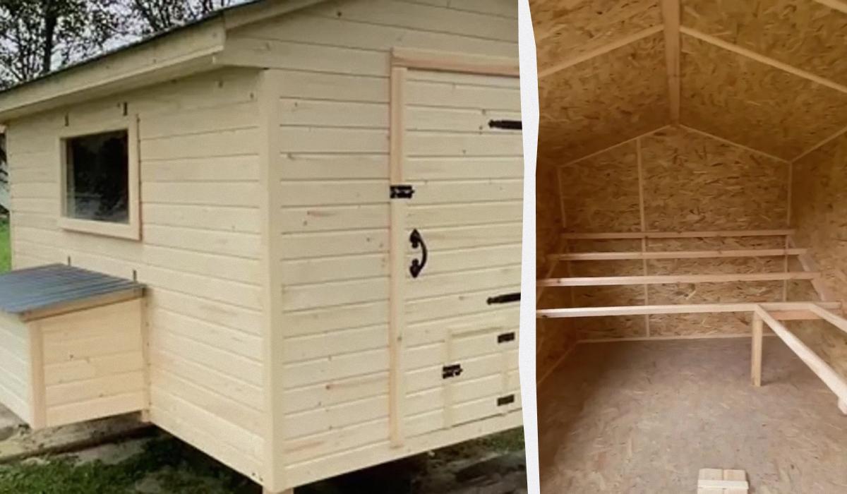 Pollai di Lusso in Ucraina: un Artigiano Scatena la Frenesia sulla Rete con la sua Creazione Unica