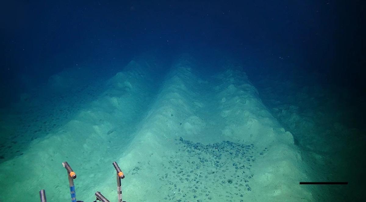 Segnali Misteriosi dal Fondo dell'Oceano Pacifico: La Scoperta che Rivela l'Impronta Umana