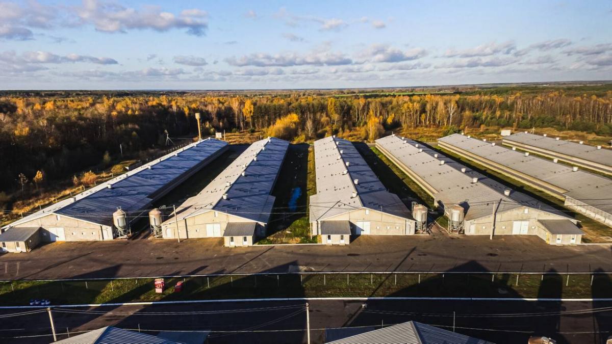 СЕО Avesterra Group підозрюється у масштабному забрудненні земель на Волині СЕО Avesterra Group підозрюється у масштабному забрудненні земель на Волині