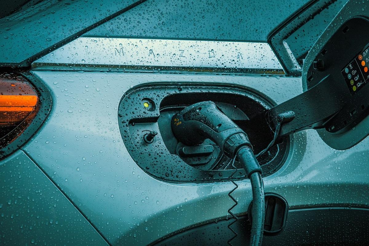 /Фото: Unsplash /Фото: Unsplash