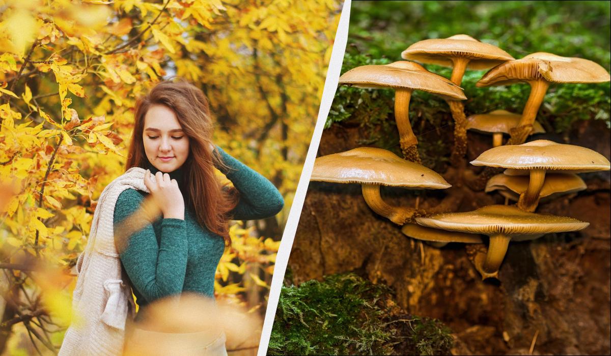 Кого надо поздравить и о чем помолиться 19 октября: традиции в праздник сегодня