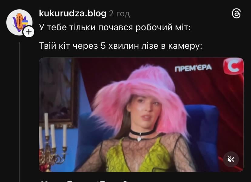 / скриншот / скриншот