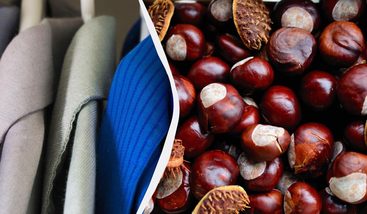 Два-три каштана в шкаф - и многолетняя проблема решится сама собой: о чем идет речь