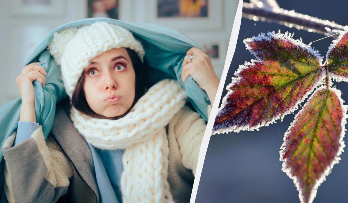 Заморозки не отпускают: названы области, где температура упадет до -5°