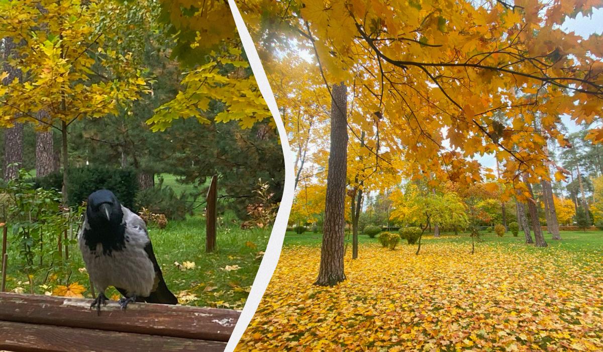 Завтра в Киев вернется 10-градусное тепло