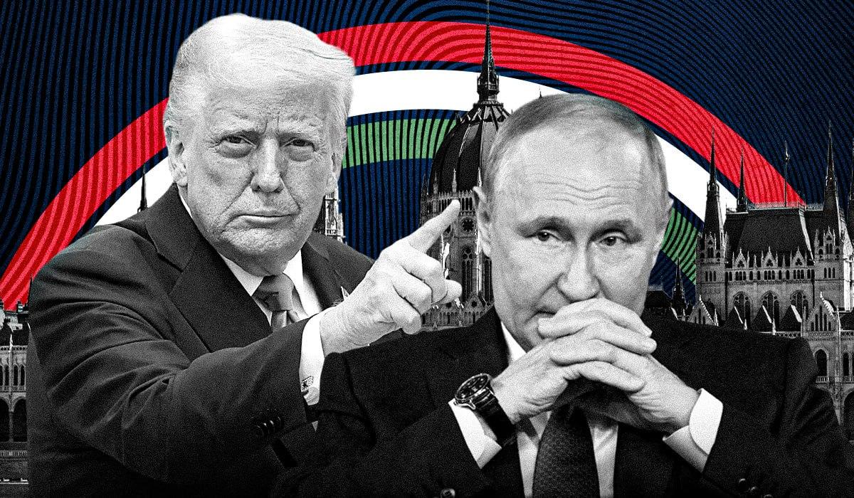 "Он параноик": Путин побоится прилететь в Венгрию на встречу с Трампом, - нардеп