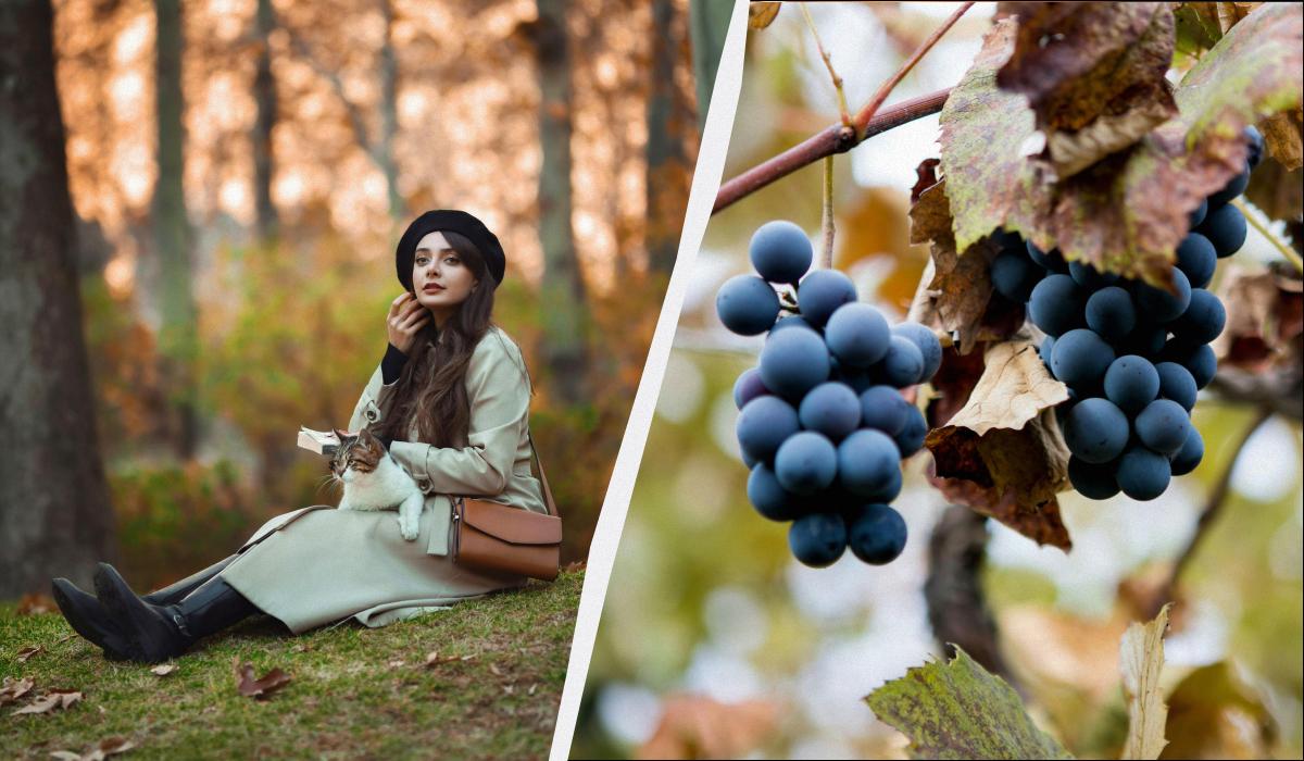 Чего нельзя делать родителям: запреты и обычаи в праздник 24 октября 2025