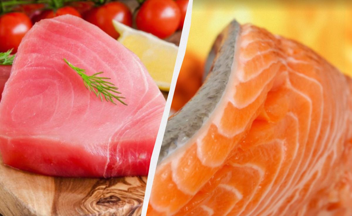 Salmone o Tonno: Qual è il Pesce più Salutare per la Nostra Salute e il Nostro Benessere?
