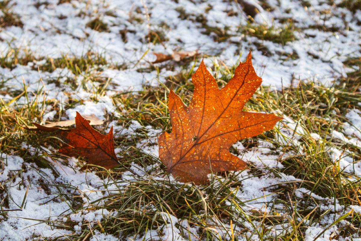 У ua.depositphotos.com У ua.depositphotos.com