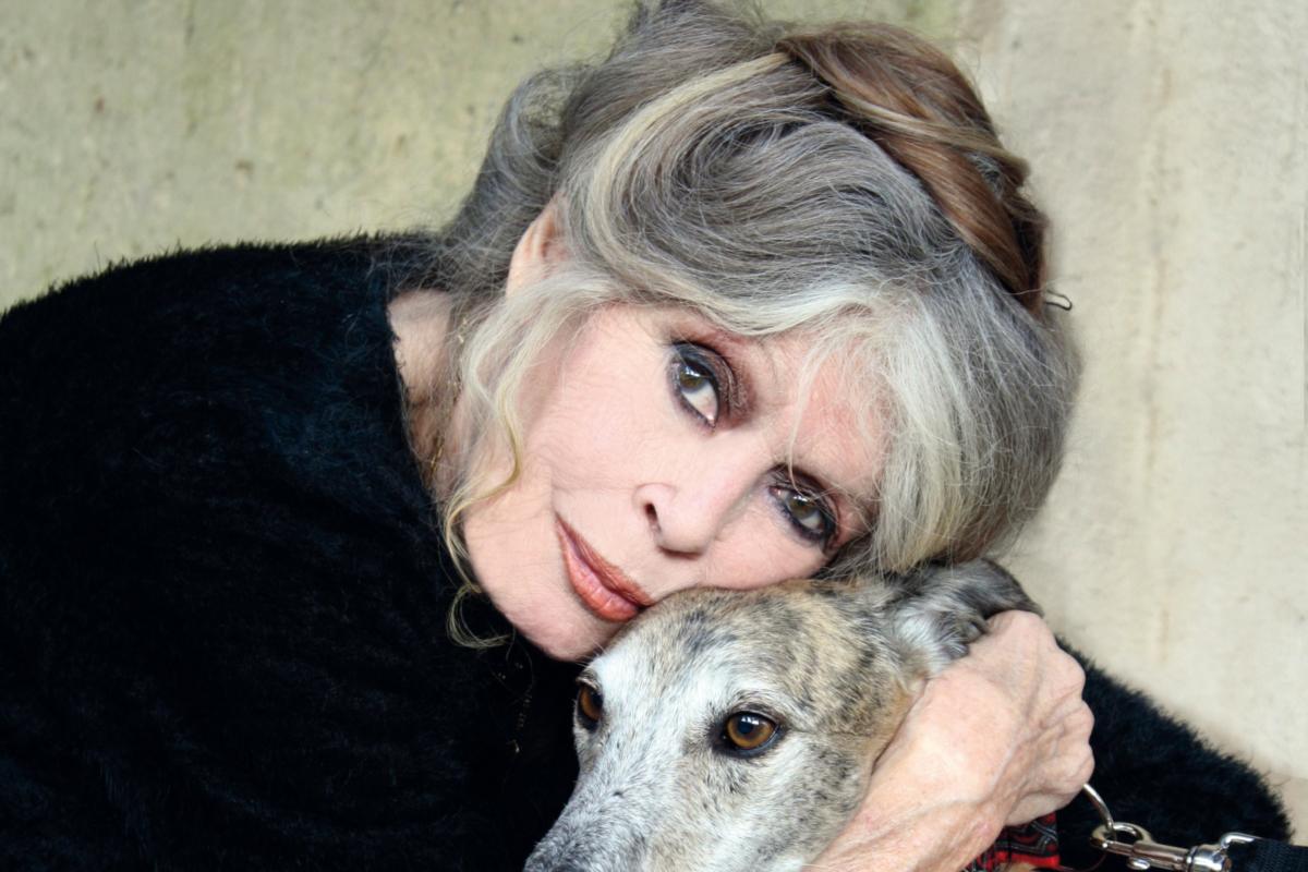 Брижит Бардо вышла на связь после того, как ее "похоронили" в сети