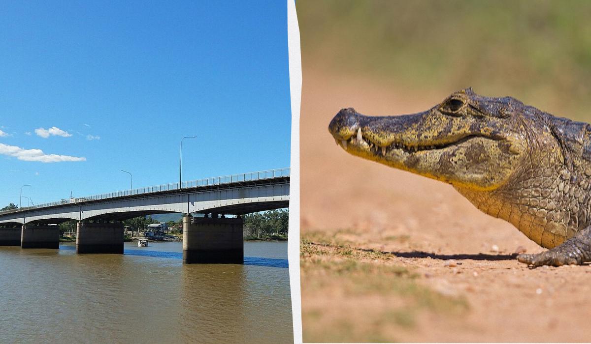 В Австралии реку с крокодилами одобрили для олимпийских соревнований
