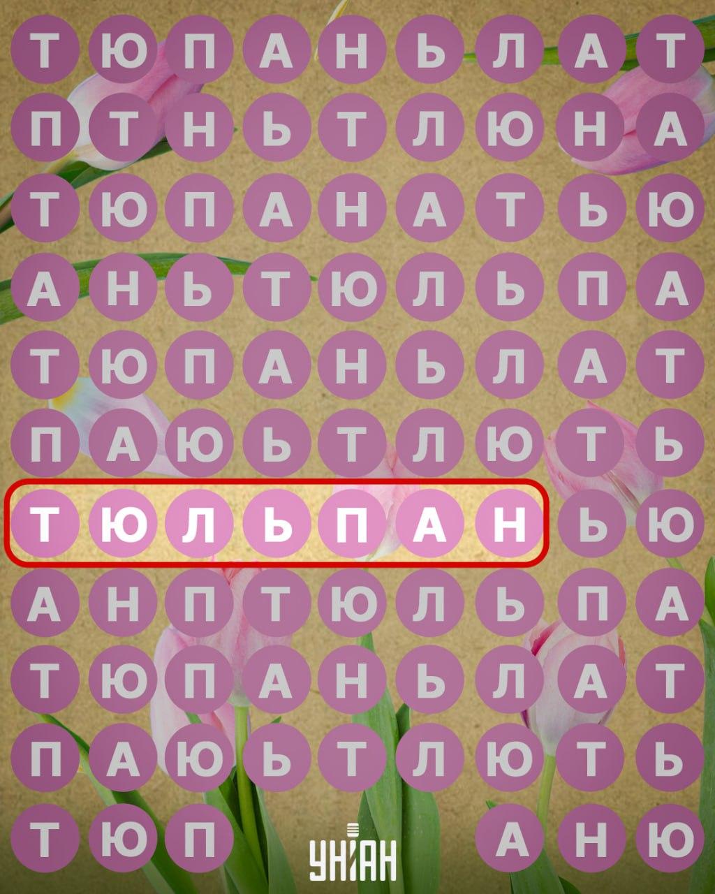 / колаж УНІАН / колаж УНІАН