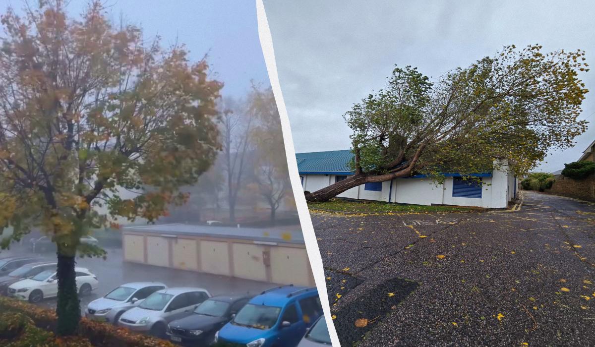 В Германии бушует исключительный шторм "Йошуа", деревья вырывает с корнем