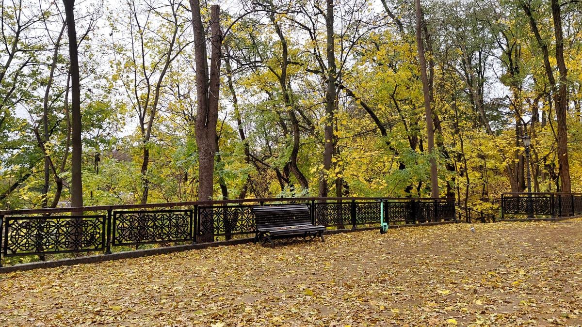Перед выходными Киев прогреется до +18° Перед выходными Киев прогреется до +18°