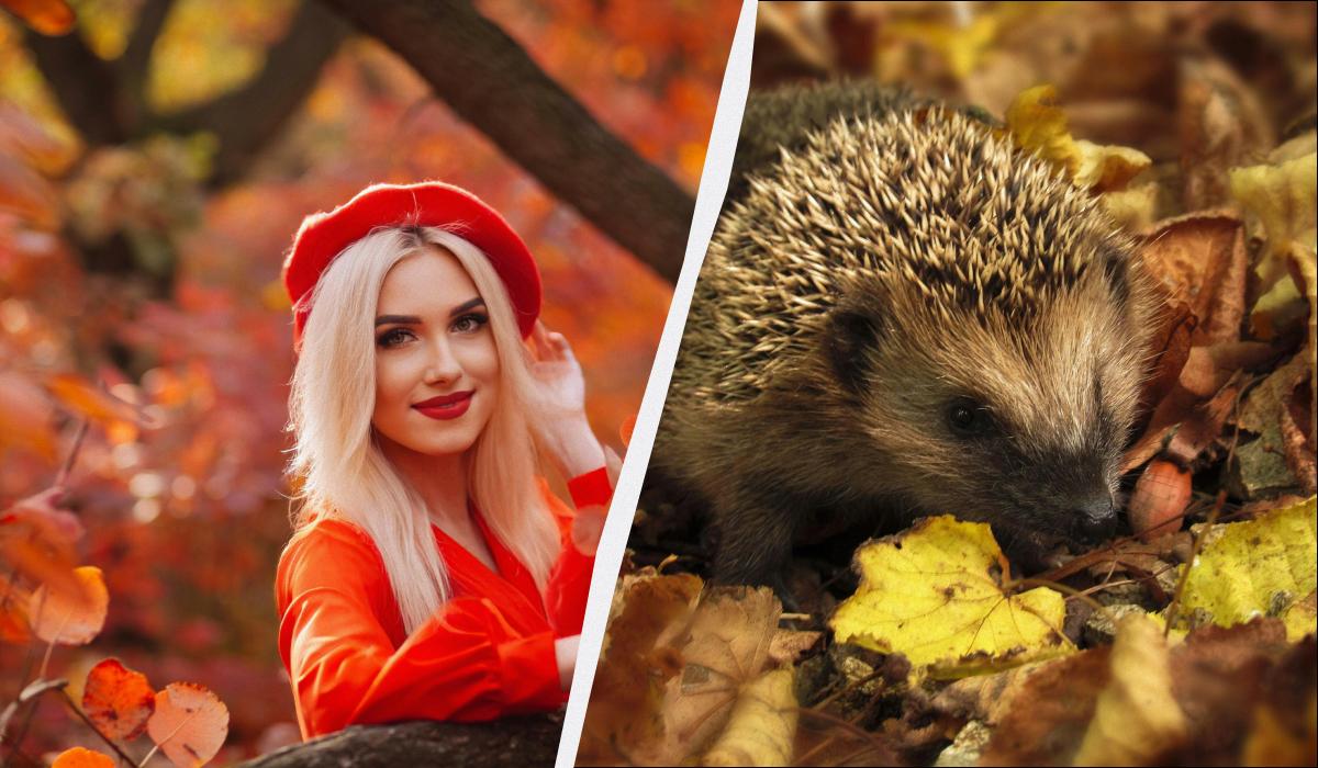 яке сьогодні свято