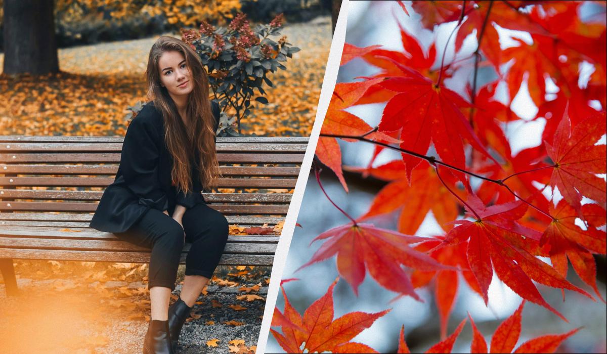 Il Primo Novembre: Una Festa di Tradizioni e Celebrazioni per la Salute e il Benessere