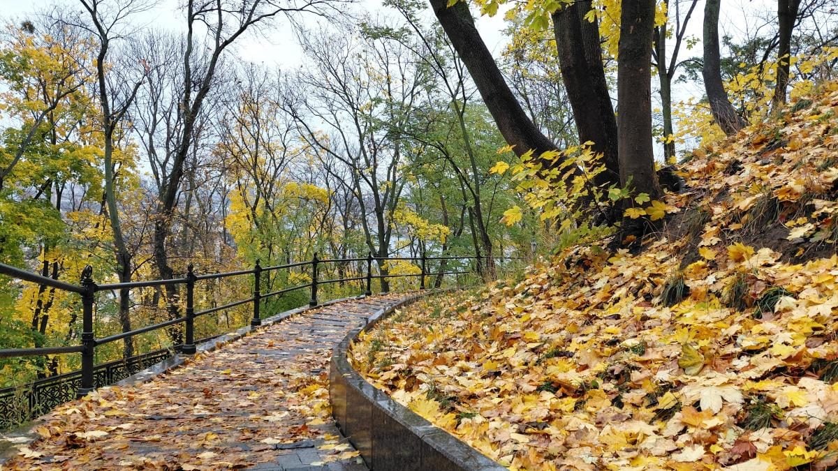 Фото Осенняя прогулка на Владимирской горке в Киеве 27 октября 2025