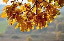 Эти дни - самые холодные: синоптик рассказала, когда украинцам ждать потепления