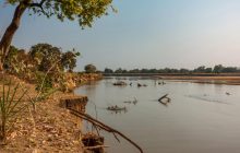 "Не вижила жодна рослина": в одній з країн Африки сталася екологічна катастрофа