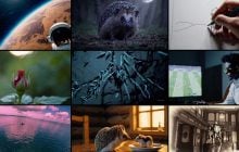 Обігнав ChatGPT і Google: у світі з'явився новий найбільш завантажуваний додаток