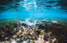 Може вивергнутися у будь-який момент: вчені виявили таємничий вулкан на дні Тихого океану