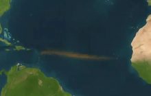 Гігантська "коричнева стрічка" простяглася через океан: вчені б’ють на сполох