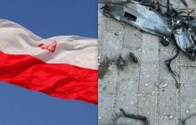Біля Варшави виявили уламки невідомого дрона: стали відомі перші деталі