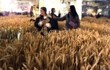 Ukraine WOW в Киеве: как долго будет работать выставка об украинском наследии (фоторепортаж)