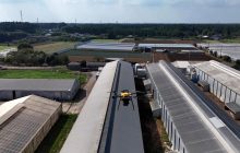 Японские фермеры начнут использовать лазерные дроны, чтобы защитить куриц от птиц