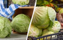 Капусту зберігаю до наступного літа в секретному місці: не в погребі й не в холодильнику