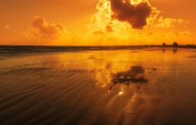 Спека змінює харчові ланцюги океану й він перестає працювати, як схованка вуглецю, - вчені