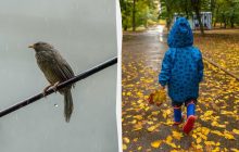 8 октября в Украине ожидаются сильные дожди: синоптик рассказала, где будет наиболее мокро