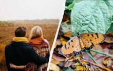 Два великі свята в Україні та у світі: що відзначають українці 10 жовтня 2025