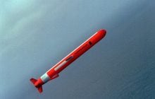 Експерт назвав головні цілі для ракет Tomahawk