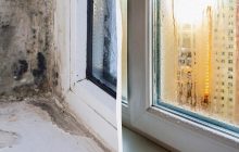 Коли потрібно відчиняти вікна, щоб не було цвілі та конденсату: названо точний час