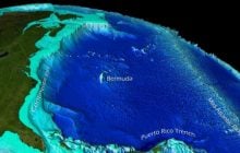 Их может быть сотни: ученые раскрыли неожиданную тайну из глубин Тихого океана