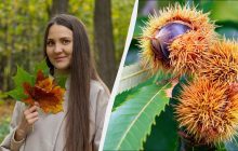 Одразу чотири професійні свята відзначають в Україні: чим цікаве 12 жовтня