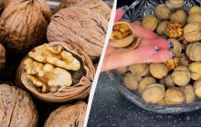 Українка показала, як почистити гору горіхів за 3 хвилини: шкаралупа відлетить сама