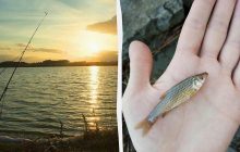 В наших реках живет опасная рыба с Дальнего Востока: ихтиолог рассказал, можно ли ее есть