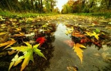 Дощі не припиняються: 11 жовтня по всій Україні буде мокро