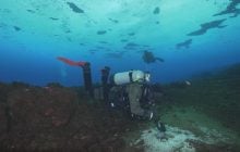 Ученые обнаружили нечто тревожное и опасное, просачивающееся из-под океана вокруг Антарктиды