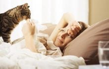 Чи може кішка відчути, коли ви хворі: відповідь ветеринарів вас здивує