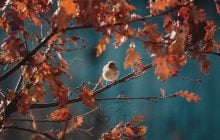 29 октября погода в Украине начнет меняться