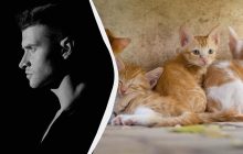 Учёные раскрыли мрачную правду о тех, кто не любит животных: это не просто равнодушие