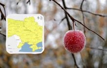 Заморозки будут сильнее, чем ожидалось: Укргидрометцентр обновил прогноз (карта)