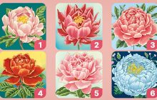 Какой цветок вы выберете: визуальный тест, который раскрывает вашу неповторимость