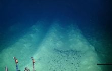 Более 40 лет со дна Тихого океана слышны загадочные сигналы: ученые нашли источник